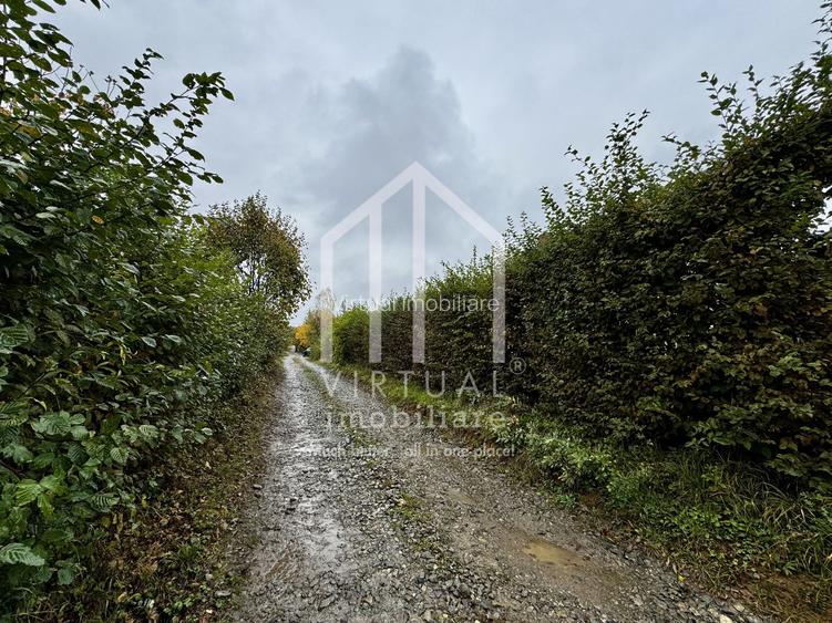 Teren intravila, 2158mp, destinatie casa de vacanta, Rasinari - 10