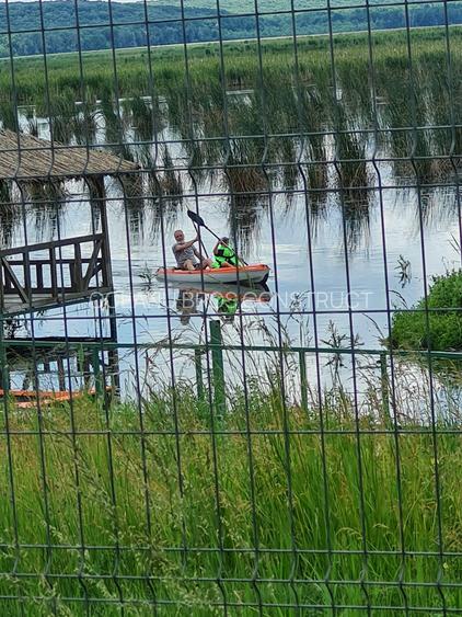 Teren intravilan situat într-o zonă superbă , vis-a-vis de Parcul Natural Comana - 4