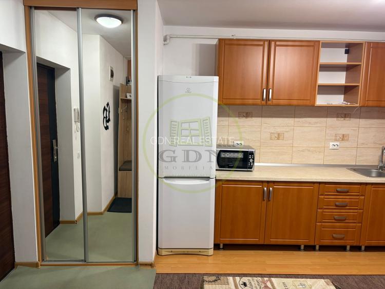 Apartament 2 camere de inchiriat-Zona Doamna Stanca - 19