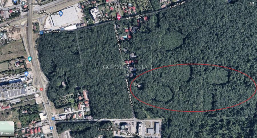 46644 mp teren in Padurea Baneasa proiect exclusivist - 4
