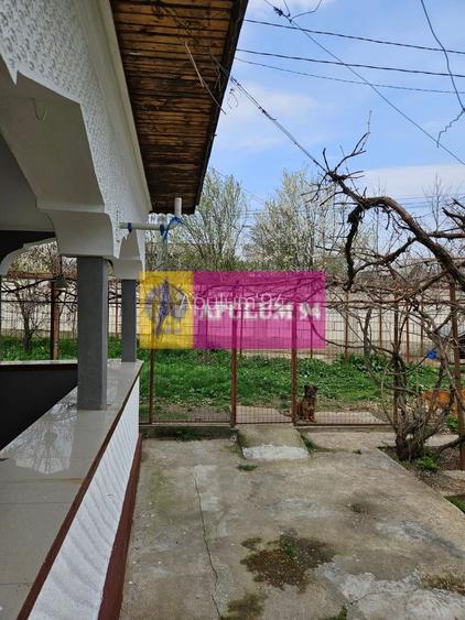 GIURGIU - COM. BUCSANI (SAT OBEDENI) CASA 2 CAM DE VANZARE - 8