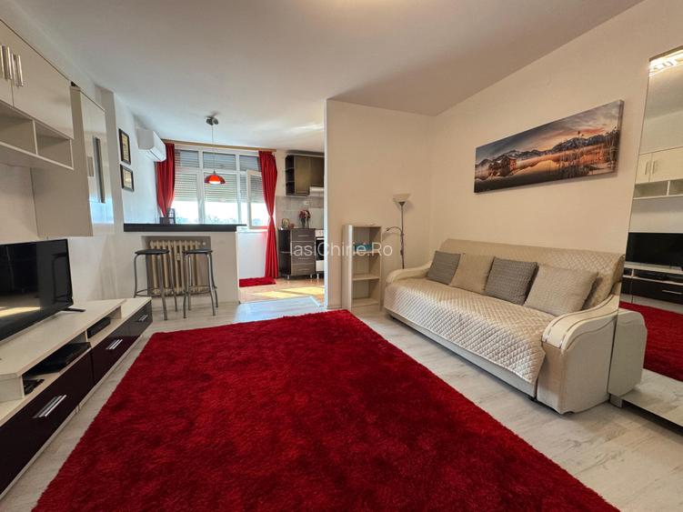 Apartament cu o camera Pod Piatra/Cantemir - 4