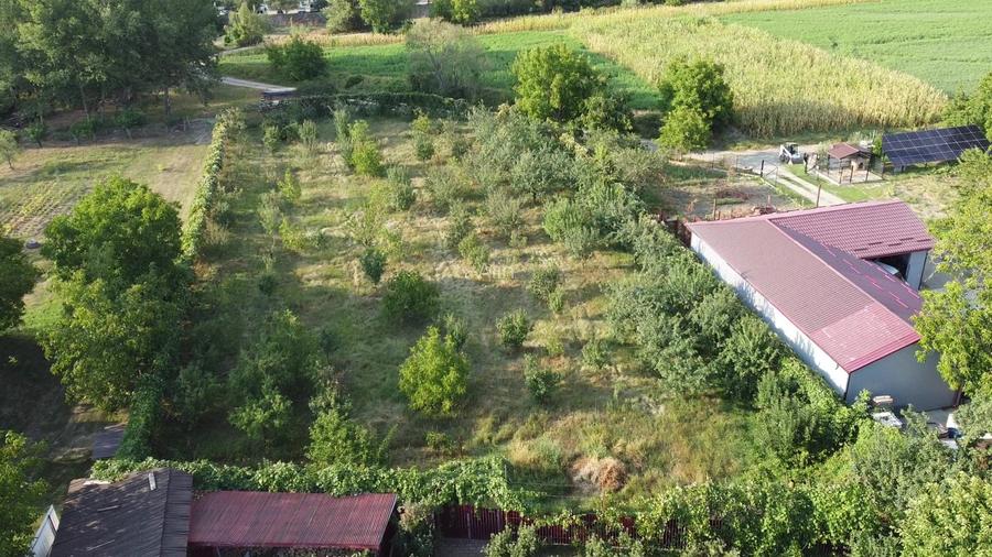 Vila superba 400m2 complet mobilata cu 5000m2 de teren - 10