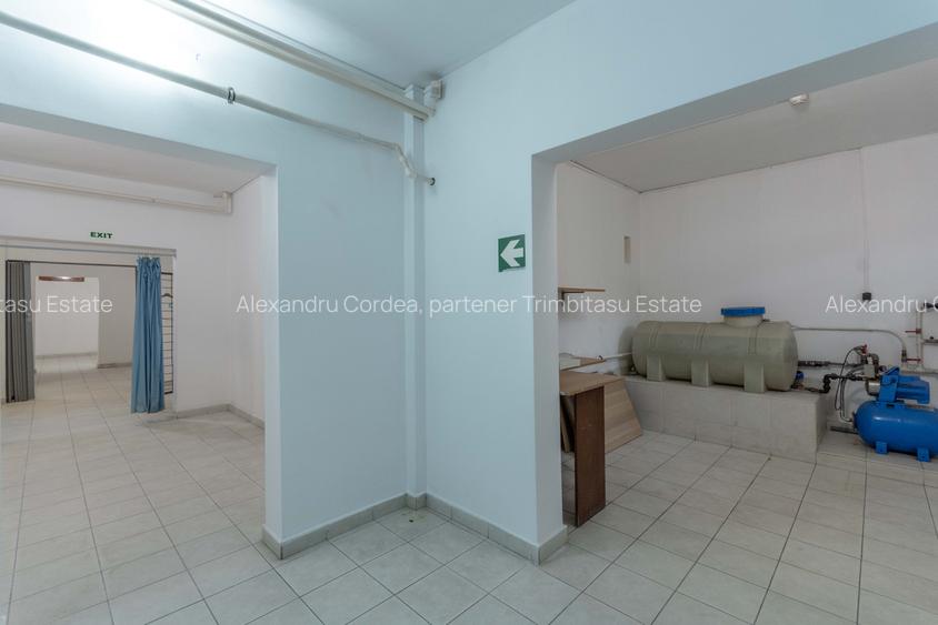 Aviatiei | Smaranda Braescu | Vila reprezentativa de inchiriat - 15