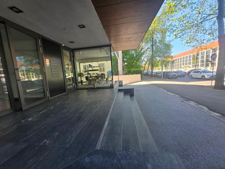 Showroom stradal Floreasca - 2