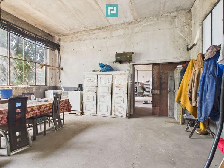 Complex industrial cu hale și teren  în Orțișoara - 37