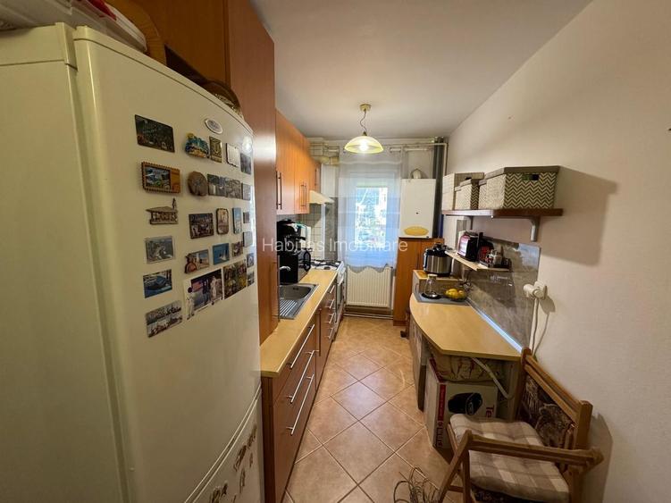 Apartament 2 camere, etajul 1, Grigorescu - 2