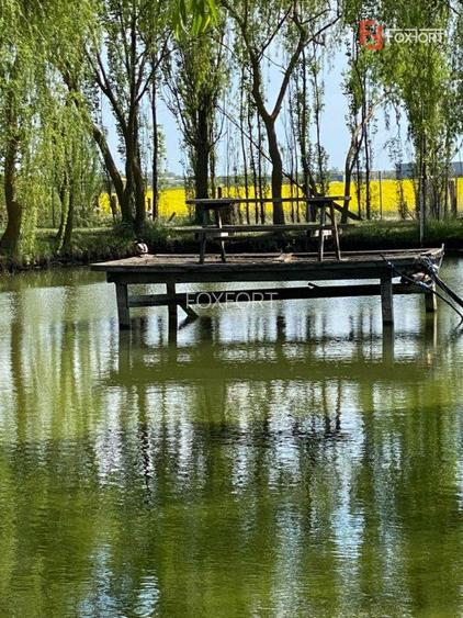 Vila Duplex cu lac si piscina Giarmata Vii  cu 5880 mp de teren - ID V5269 - 18