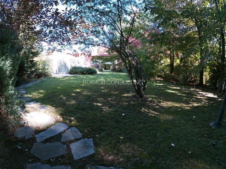 Vila 2.700mp, Paradisul Verde, cu piscina si padure proprie - 17