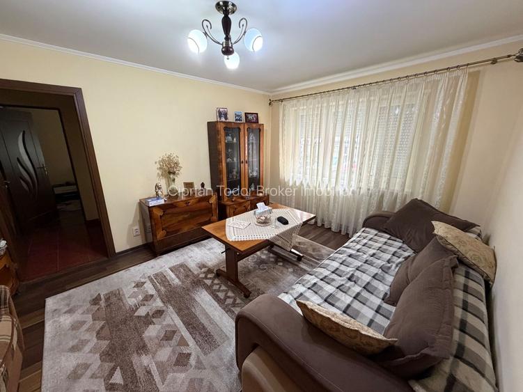 Apartament 2 camere, parter - zona Cetate - 12