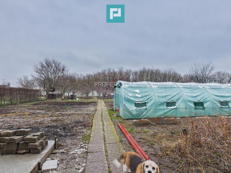 Casă cu 2 corpuri  și 5 camere în Livada - 16