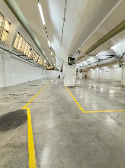 Pantelimon / Republica - Spațiu Industrial / Producție / Depozitare - 20