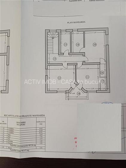 5 camere - 3 bai - 200 mp utili - teren 920 mp - Domnesti - Craitei - 19
