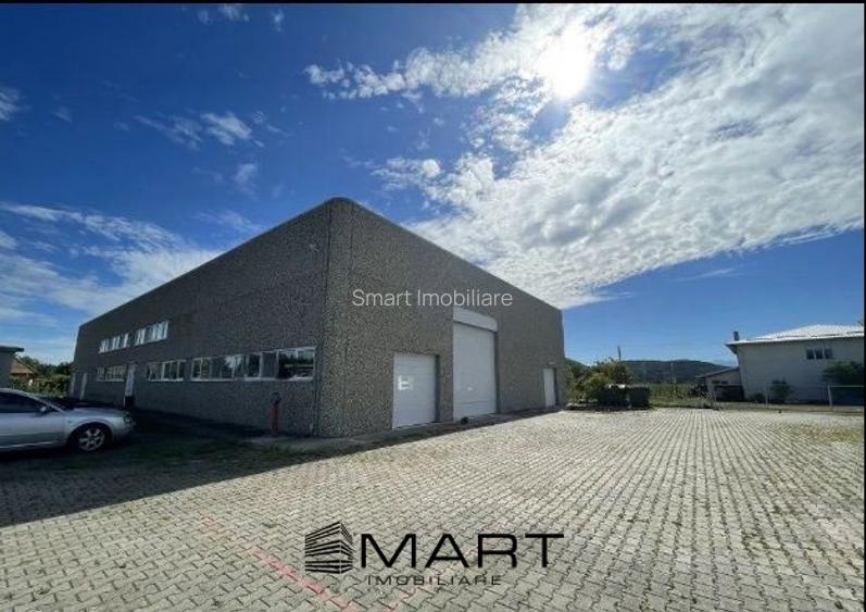spatiu industrial  zona Selimbar Sibiu - 3