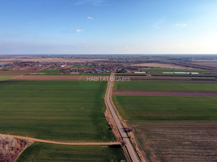 Ferma si livada de meri in judetul Ilfov - 19