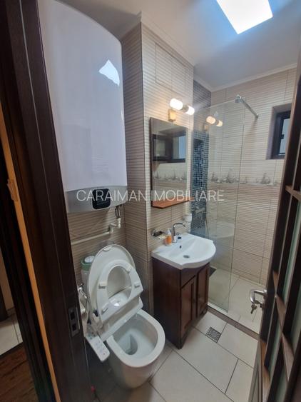 COLENTINA-D-NA GHICA, VAV DE PARCUL PLUMBUITA - 13