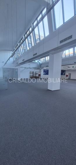 Spatiu de birouri / comercial / show room Domenii - Parcul Copilului - 13