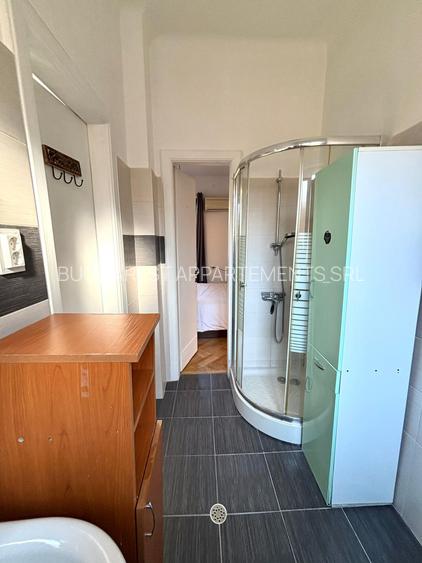 Apartament 2 camere in zona Parcului Cismigiu - 11