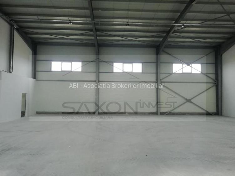 Hala depozitare sau productie   Drumul intre Tarlale,  600MP - 9