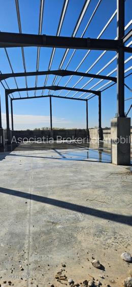 De vanzare | 6 hale x 600 mp | Afumati - 4