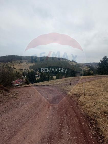 Oază de liniște în inima Apusenilor – teren 6.500 mp Arieșeni - 15