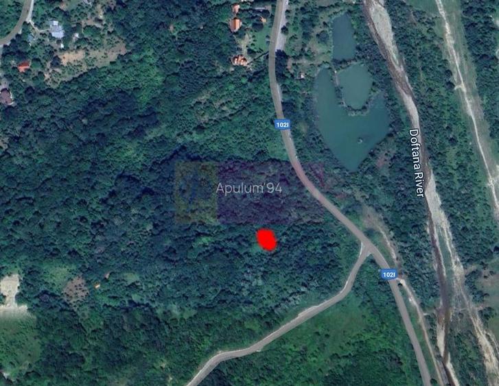 Teren intravilan de vanzare in Lunca Mare (la 10 km de Valea Doftanei) - 4