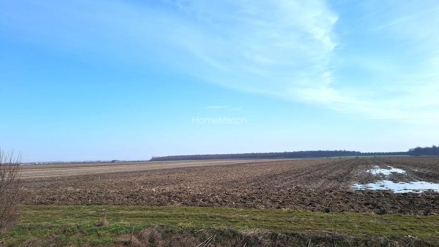 0% Comision - Teren intravilan, apropiere A1, industrial - 3