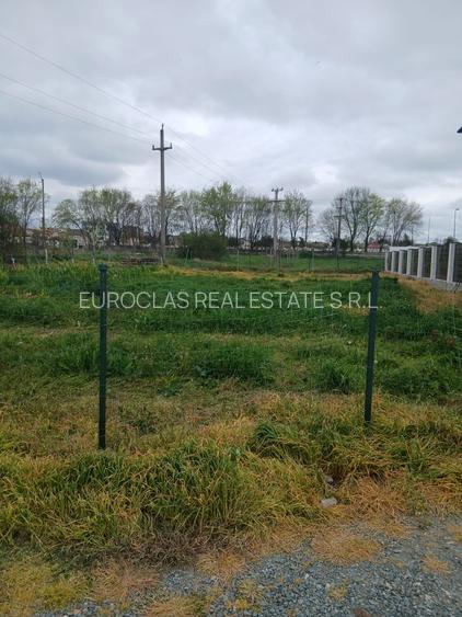 SUPER OFERTA --Teren intravilan Palazu Mare-ELVILA -98.000 euro (COD E6) - 8