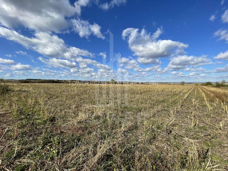 De vânzare teren intravilan – Cristian, Sibiu - 6