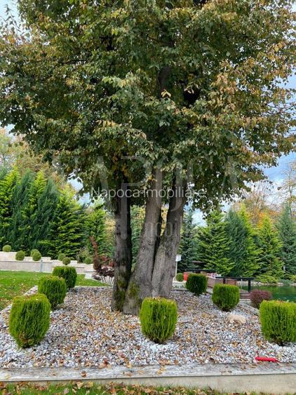 Casa 6 camere de vanzare in Faget, Cluj Napoca - 30