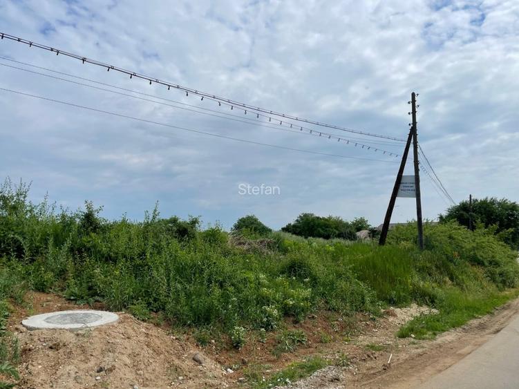 Teren Piscu intravilan,12500 mp, 15 euro mp, 30 m deschidere, toate utilitatile - 11