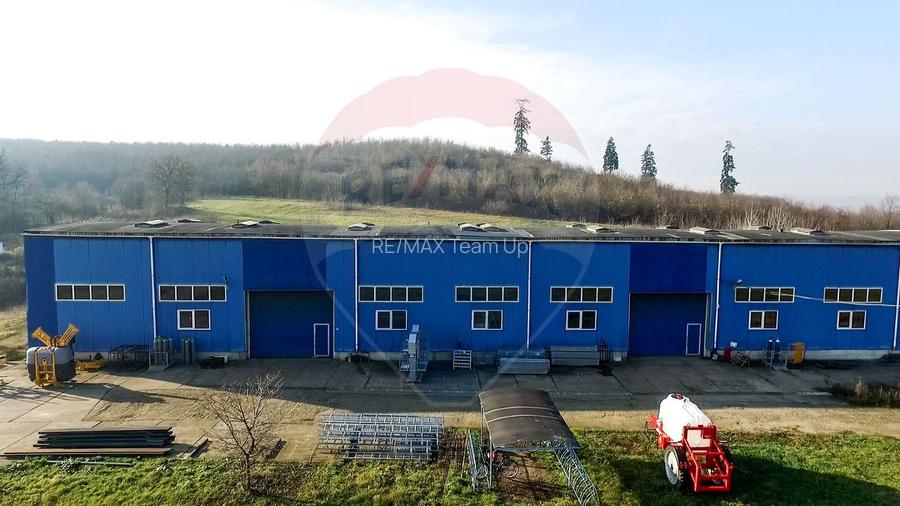 Teren industrial de vânzare - 18.820 mp+proiect de extindere, Bonțida - 5