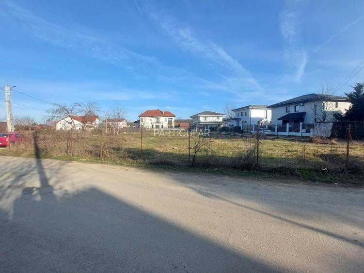 1570 mp Teren de vanzare in Mogosoaia - 6
