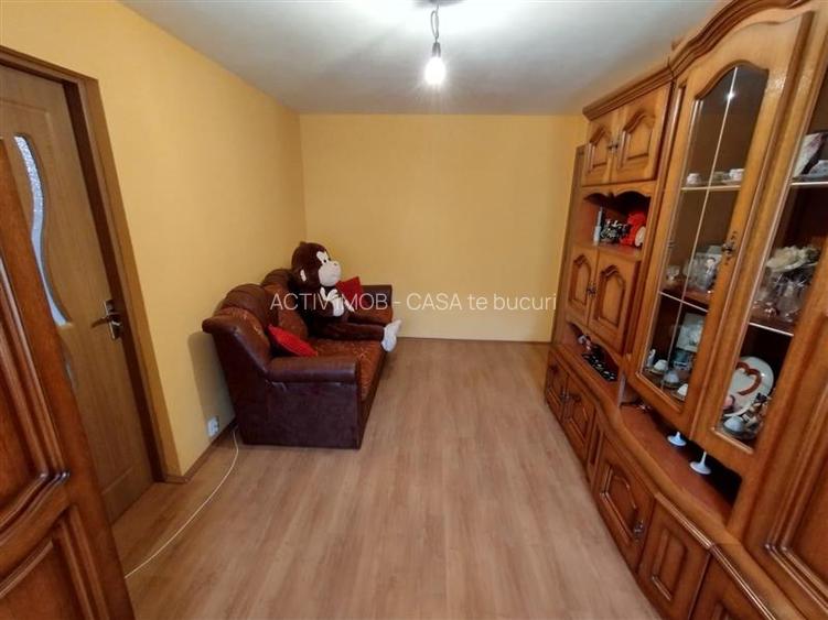 Oravita, 2 Cam, Parter, Conf.1, Mobilat+Utilat, Usor Negociabil - 15