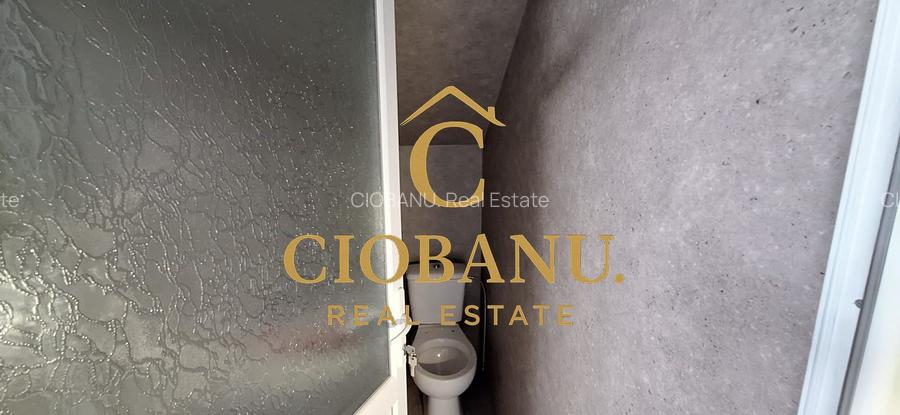 Hala de vanzare in Racari de Jos - 12