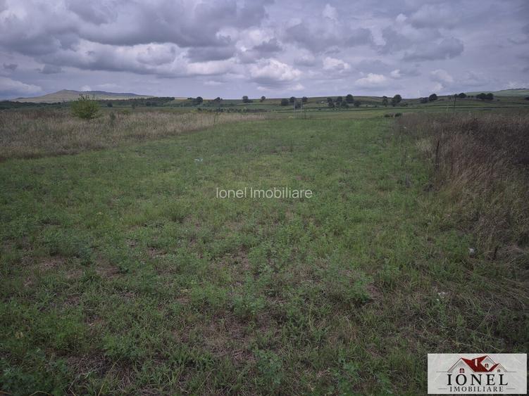 Teren intravilan de vanzare in Craciunelu de Jos - 4