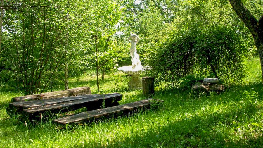 Domeniu exclusivist cu izvor propriu – Cheile Turzii / Munții Apuseni - 7