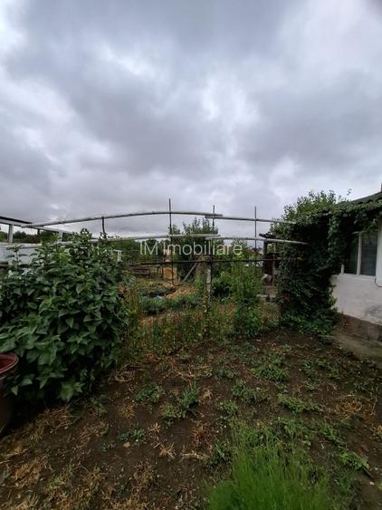 Giarmata Mare - Teren Constructii Case - 3