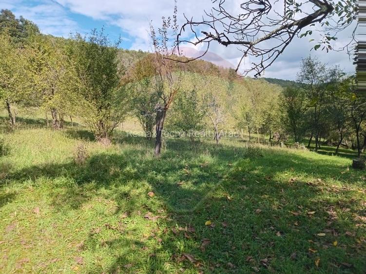 OCAZIE!!! CASA SUPERBA cu teren in JULITA jud Arad in M tii Zarandului - 43