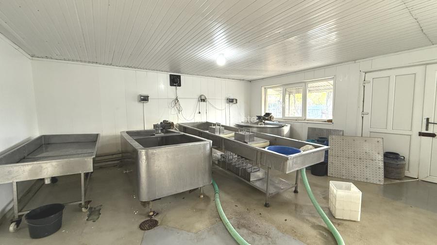 Făbrică de producție brânzeturi, Business funcțional, 25 de ani activitate - 8