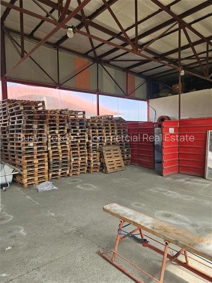 Proprietate Industriala - Productie - Industrie Alimentara - 25