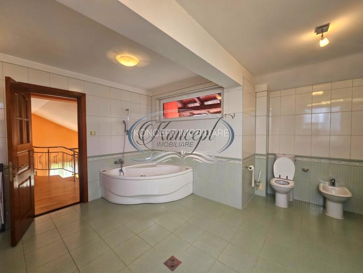 Proprietate eleganta cu gradina generoasa si acces facil Europa - 20