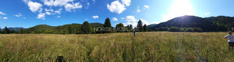 Teren Intravilan | Schitu Tarcău | 2089MP | Izvor | Platou - 8