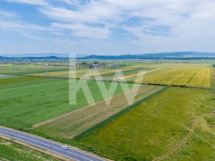 Teren de vanzare I 43 500 mp I Deschidere la drum - Harman - 19