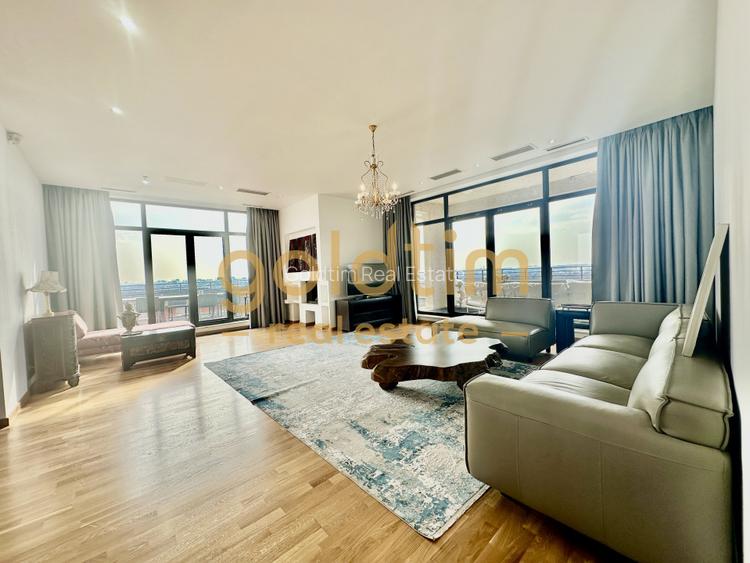 Penthouse spectaculos 280mp/Terasă 370mp/Vedere Pădurea Băneasa/Iancu Nicolae - 5