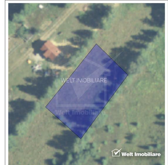 Vanzare Teren – Risca, Comuna Belis - 4