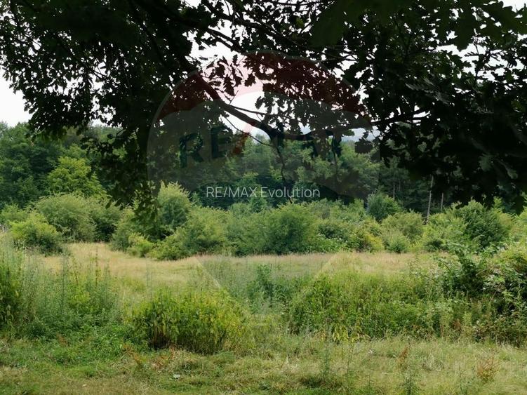 Teren aproape de pădure, situat într-o zonă aerisită - 12