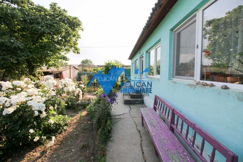 Casa cu teren in Salcioara (Jurilovca) - 2600mp - 12