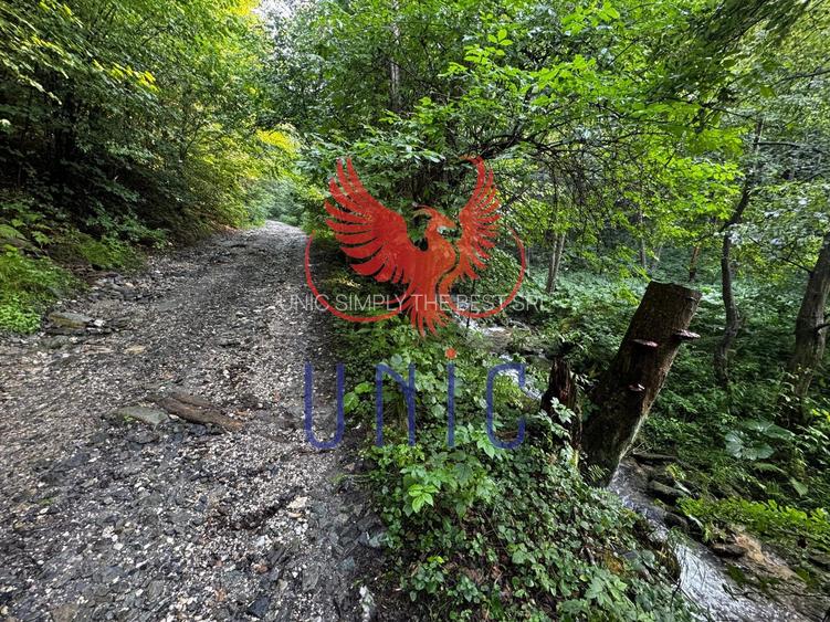 18000 mp de natura pura ,Lupeni, langa Straja - 12