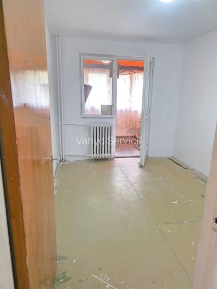 Lacul Tei  Teiul Doamnei  Colentina - 19